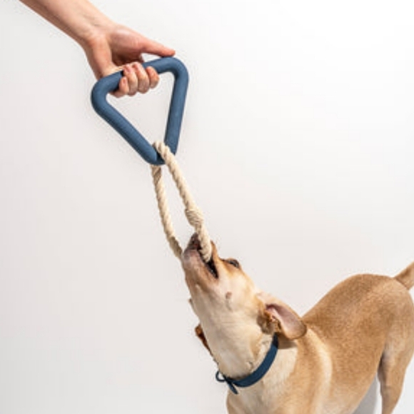 WILD ONE | Triangle Tug Small Dog Toy in Navy - Picture 4 of 10